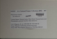 Image Associated With the Occurence